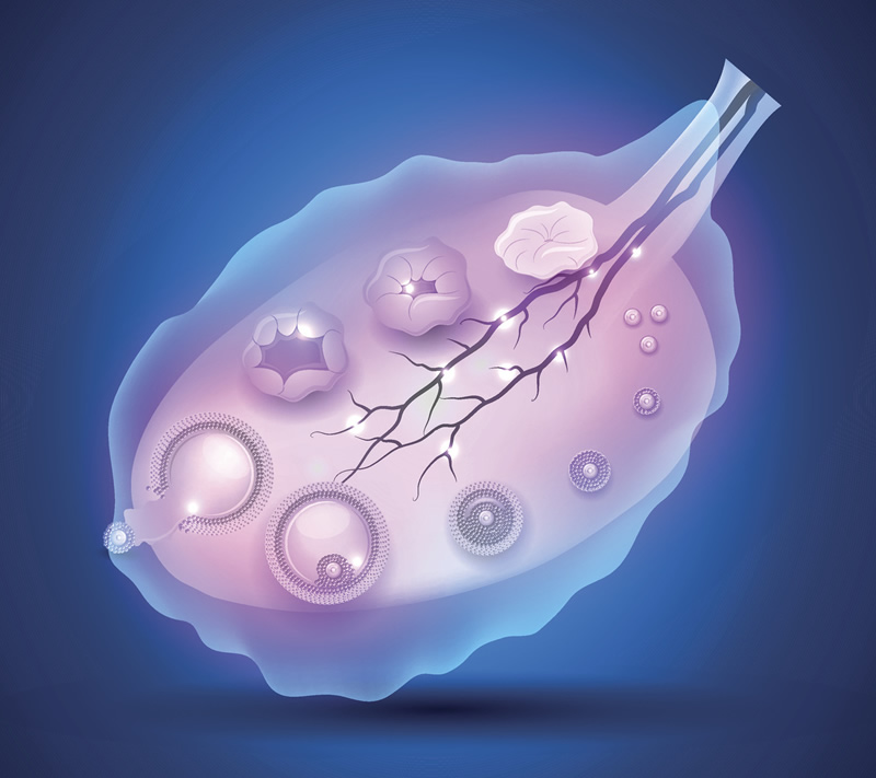 南宁卵子试管机构2026最新排名公布-南宁做试管婴儿成功率排名